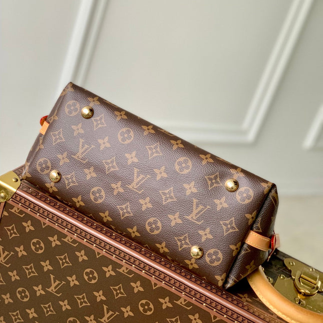 CARRYALL PM 29 BROWN BEIGE MONOGRAM CANVAS