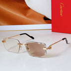 Brown photochromic lenses