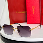 Purple/ Gold