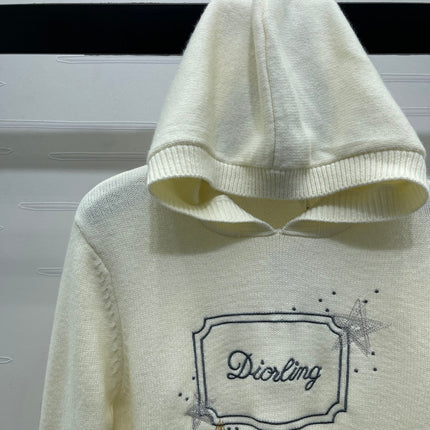 DIOR 25S HOODED SWEATER STYLE 029