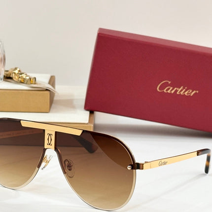 SIGNATURE C DE AVIATOR FRAME SUNGLASSES 524543 IN METAL