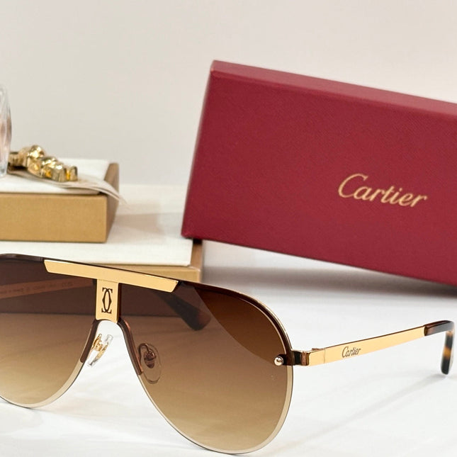 SIGNATURE C DE AVIATOR FRAME SUNGLASSES 524543 IN METAL