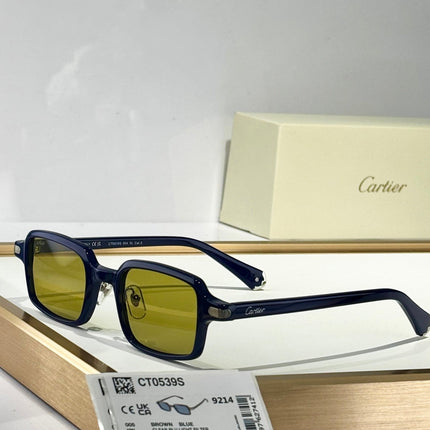 PREMIÈRE SQUARE FRAME SUNGLASSES CT0539S IN ACETATE