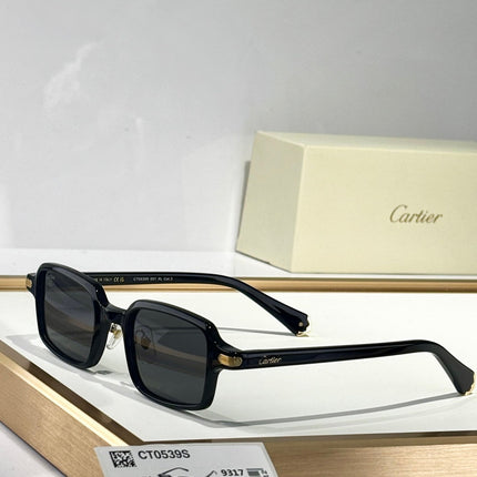 PREMIÈRE SQUARE FRAME SUNGLASSES CT0539S IN ACETATE