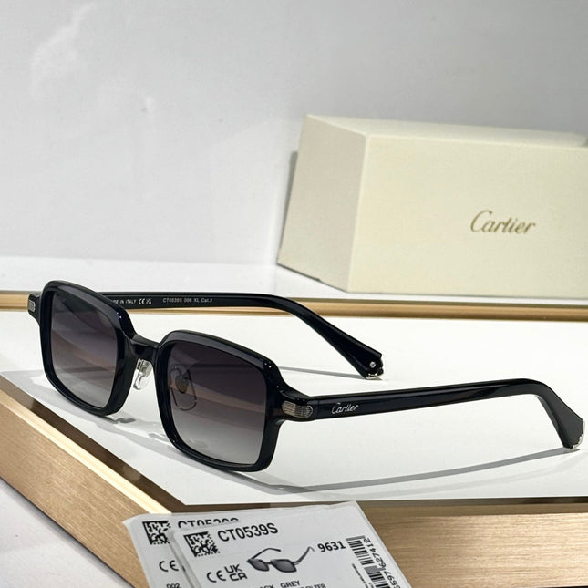 PREMIÈRE SQUARE FRAME SUNGLASSES CT0539S IN ACETATE