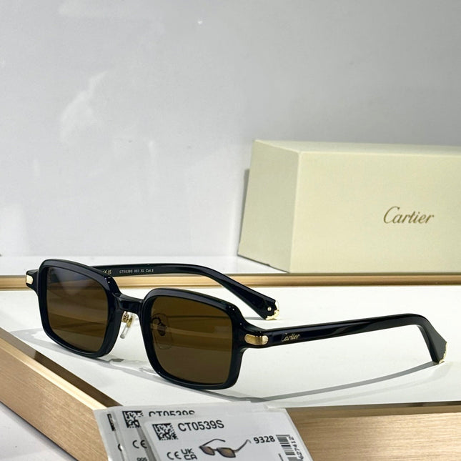 PREMIÈRE SQUARE FRAME SUNGLASSES CT0539S IN ACETATE