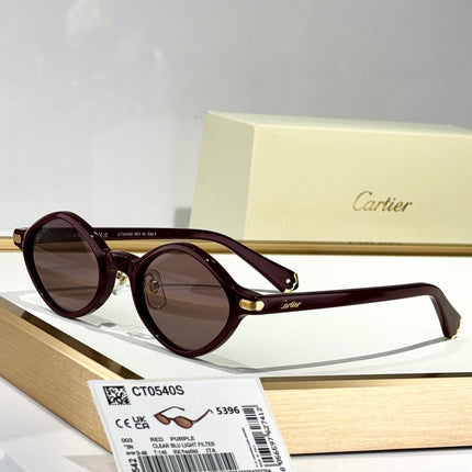 PREMIÈRE GEOMETRIC FRAME SUNGLASSES CT0540S IN ACETATE