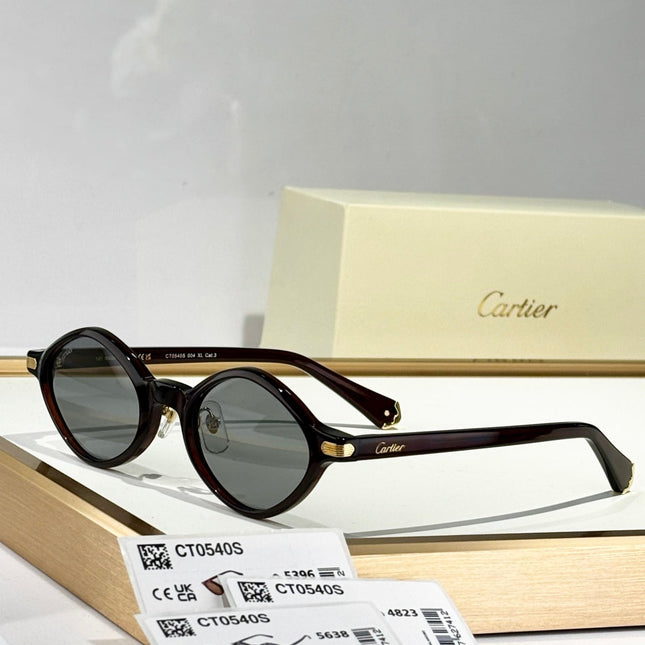 PREMIÈRE GEOMETRIC FRAME SUNGLASSES CT0540S IN ACETATE
