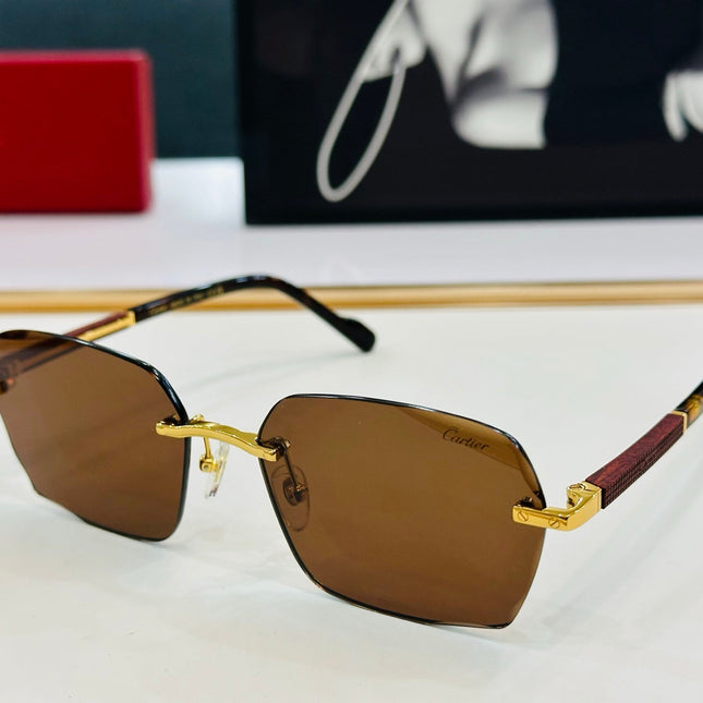 SIGNATURE C DE RECTANGULAR FRAME SUNGLASSES CT0483S IN METAL AND WOODEN