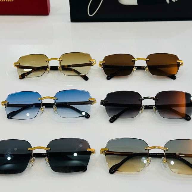 SIGNATURE C DE RECTANGULAR FRAME SUNGLASSES CT0483S IN METAL AND WOODEN