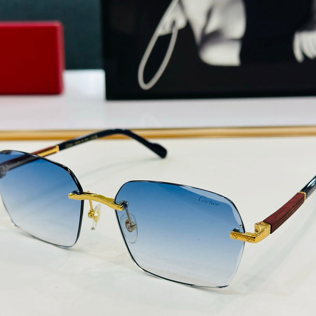 SIGNATURE C DE RECTANGULAR FRAME SUNGLASSES CT0483S IN METAL AND WOODEN