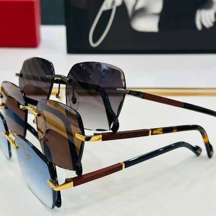SIGNATURE C DE RECTANGULAR FRAME SUNGLASSES CT0483S IN METAL AND WOODEN