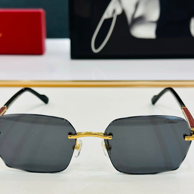 SIGNATURE C DE RECTANGULAR FRAME SUNGLASSES CT0483S IN METAL AND WOODEN