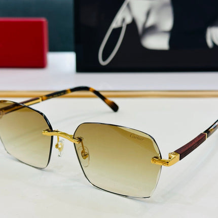 SIGNATURE C DE RECTANGULAR FRAME SUNGLASSES CT0483S IN METAL AND WOODEN
