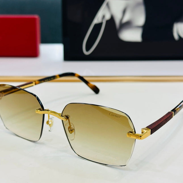 SIGNATURE C DE RECTANGULAR FRAME SUNGLASSES CT0483S IN METAL AND WOODEN