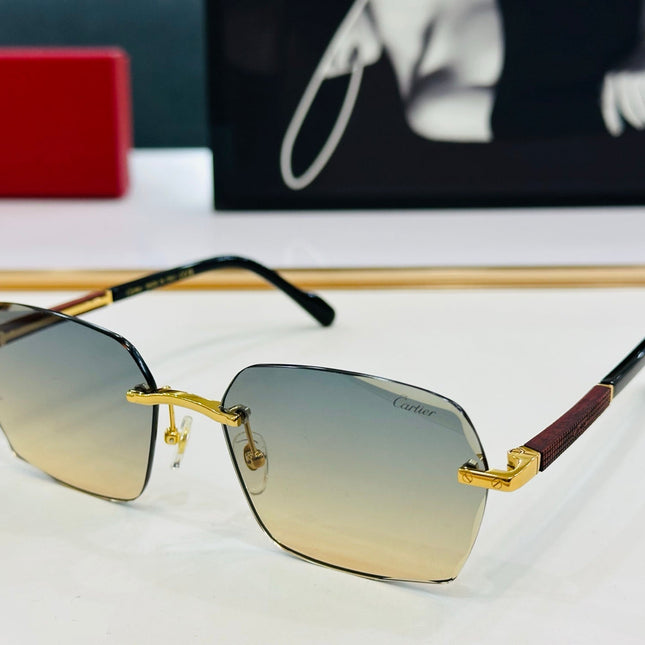 SIGNATURE C DE RECTANGULAR FRAME SUNGLASSES CT0483S IN METAL AND WOODEN
