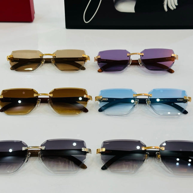 PREMIÈRE RECTANGULAR FRAME SUNGLASSES CT0620S IN METAL AND WOODEN