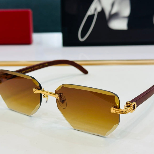 PREMIÈRE RECTANGULAR FRAME SUNGLASSES CT0620S IN METAL AND WOODEN