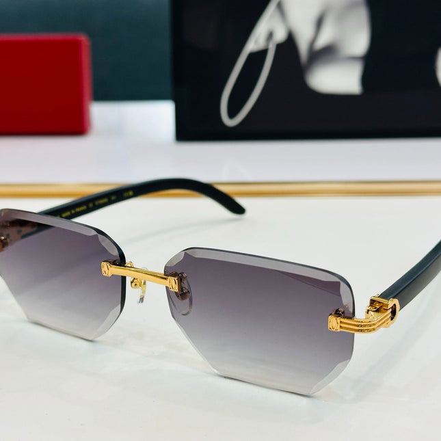 PREMIÈRE RECTANGULAR FRAME SUNGLASSES CT0620S IN METAL AND WOODEN