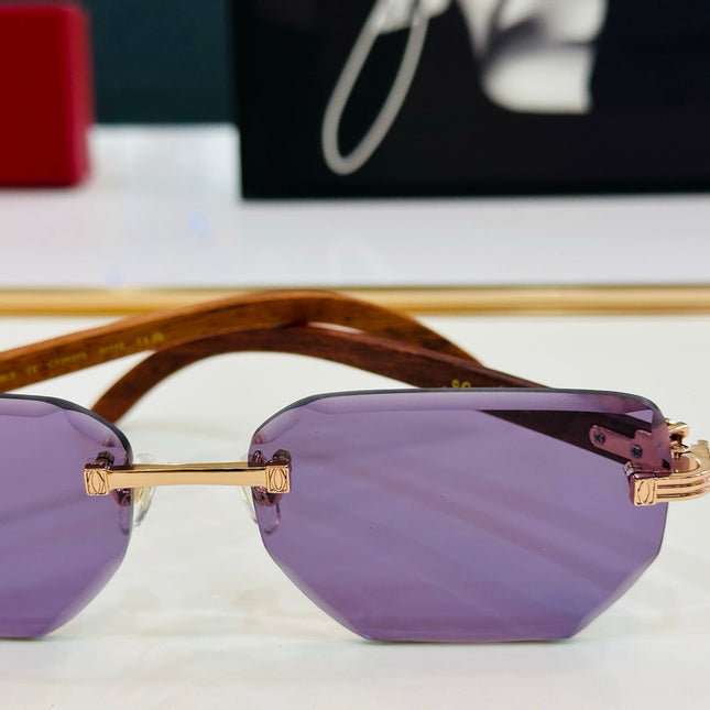PREMIÈRE RECTANGULAR FRAME SUNGLASSES CT0620S IN METAL AND WOODEN