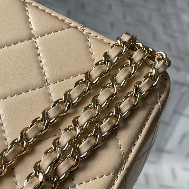 CC 16 CAMERA BAG IN DARK BEIGE CALFSKIN AND GOLD PLATED METAL
