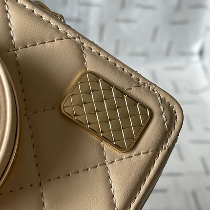 CC 16 CAMERA BAG IN DARK BEIGE CALFSKIN AND GOLD PLATED METAL