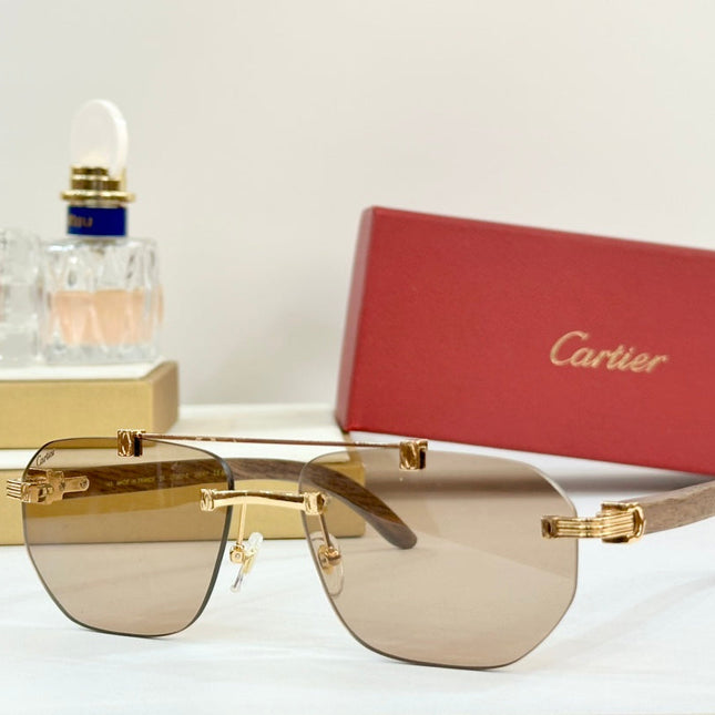 PREMIÈRE GEOMETRIC FRAME SUNGLASSES CT0621S IN METAL AND WOODEN