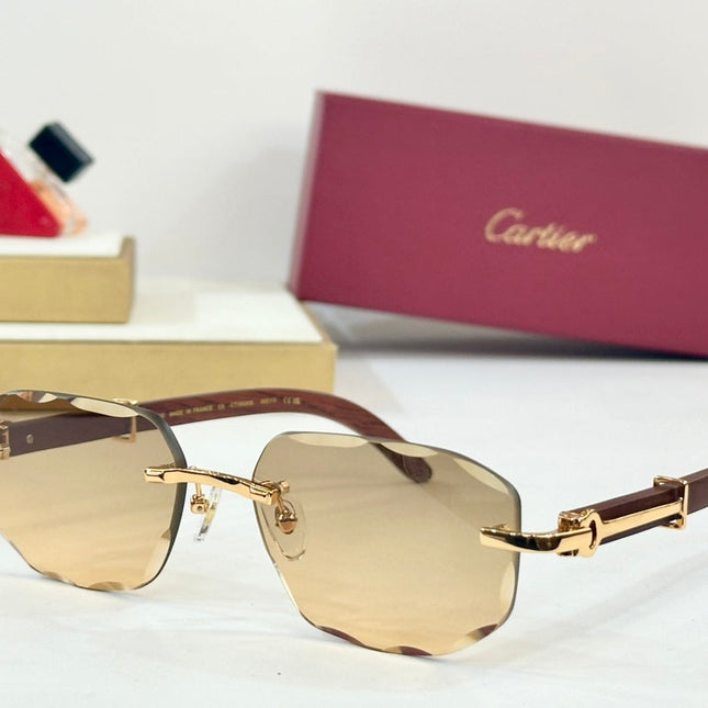 C DE GEOMETRIC FRAME SUNGLASSES CT0606S IN METAL AND WOODEN
