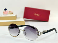 Purple/ silver
