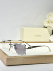 Smoke/ silver frame