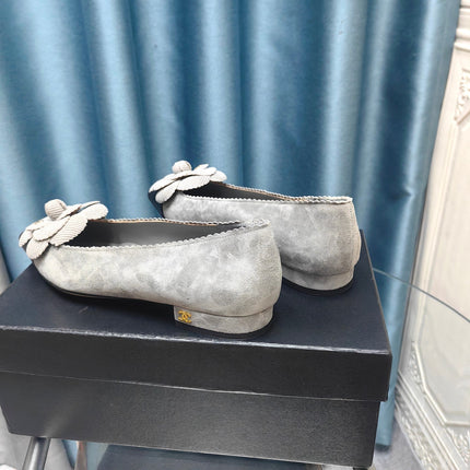 CC BALLET FLAT IN SPANISH GRAY SUEDE AND BLACK CALFSKIN WITH FLOWER