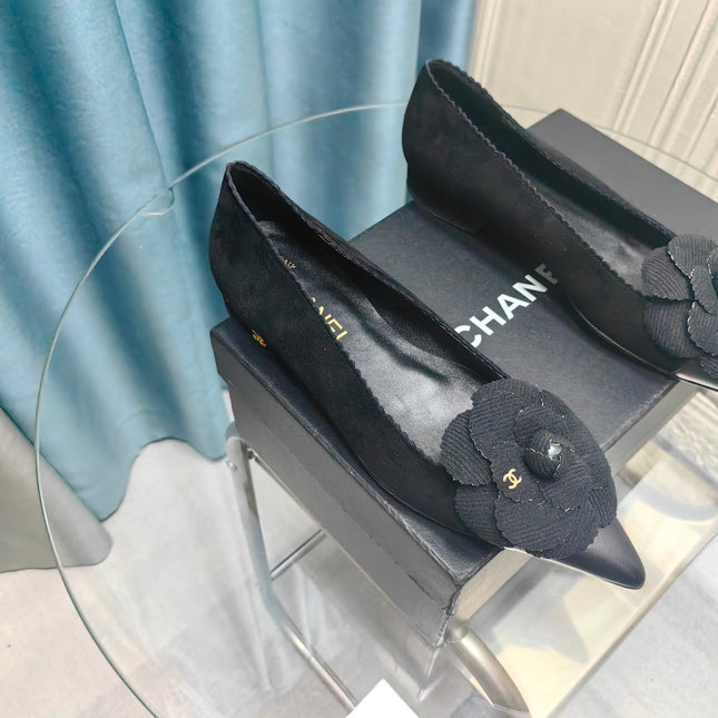 CC BALLET FLAT IN BLACK SUEDE AND CALFSKIN WITH FLOWER