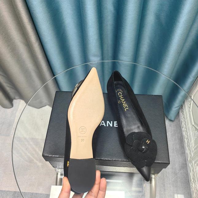 CC BALLET FLAT IN BLACK SUEDE AND CALFSKIN WITH FLOWER