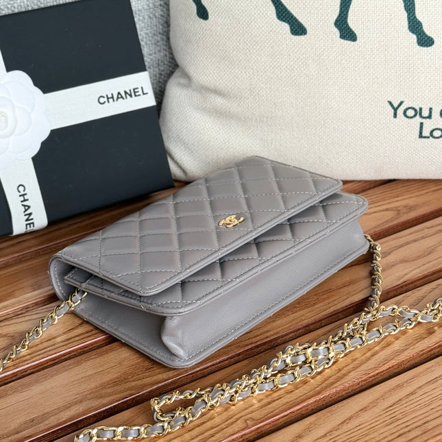 CC WOC ENTRUPY 19 BAG IN SPANISH GREY CALFSKIN