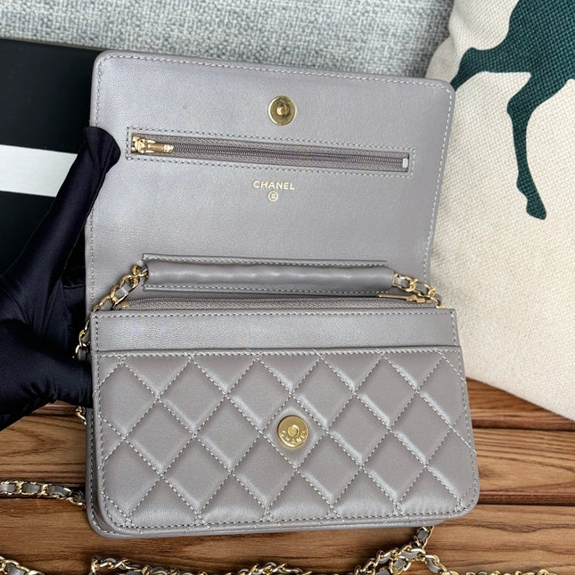 CC WOC ENTRUPY 19 BAG IN SPANISH GREY CALFSKIN