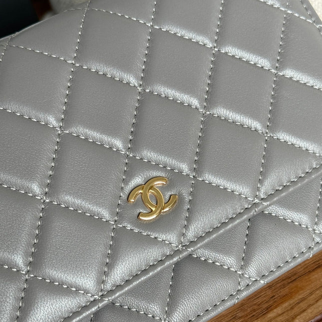 CC WOC ENTRUPY 19 BAG IN SPANISH GREY CALFSKIN