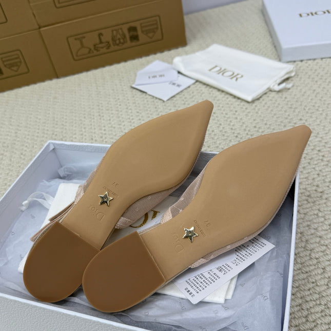 DIOR FLAT SLINGBACK 25S IN NUDE LACE NET FABRIC AND SUEDE