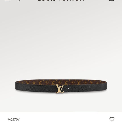 LV ICONIC 25 MM IN BROWN DAMIER CALFSKIN SILVER HARDWARE
