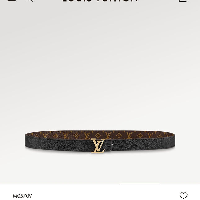 LV ICONIC 25 MM IN BROWN DAMIER CALFSKIN SILVER HARDWARE