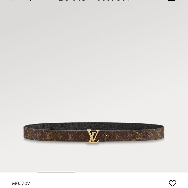 LV ICONIC 25 MM IN BROWN DAMIER CALFSKIN SILVER HARDWARE