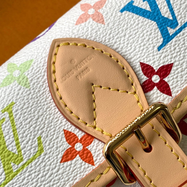DIANE NANO BAG 19 IN MULTICOLOR MONOGRAM CANVAS AND COWHIDE
