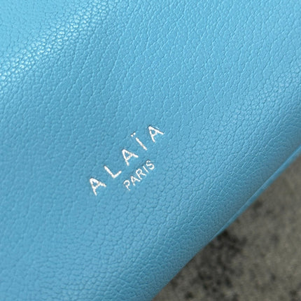 LE TECKEL SMALL BAG 27 IN SKY BLUE GOATSKIN