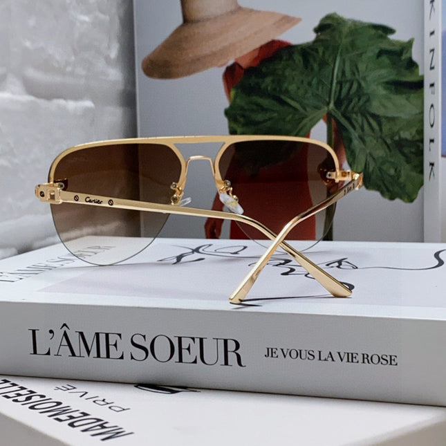 C DE AVIATOR FRAME SUNGLASSES 543538 IN METAL