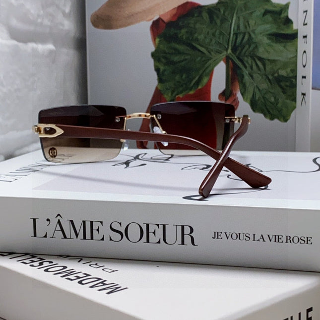 C DE RECTANGULAR FRAME SUNGLASSES 555890 IN METAL AND ACETATE