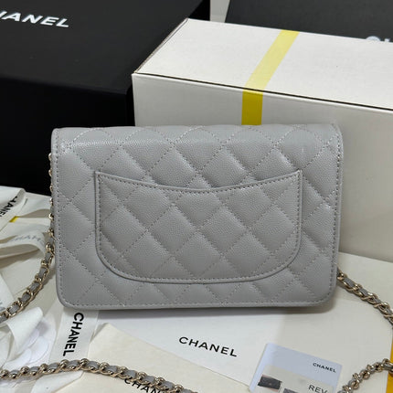 STRASS WOC ENTRUPY BAG 19 IN SPANISH GREY CALFSKIN GOLD HARDWARE