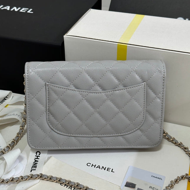 STRASS WOC ENTRUPY BAG 19 IN SPANISH GREY CALFSKIN GOLD HARDWARE