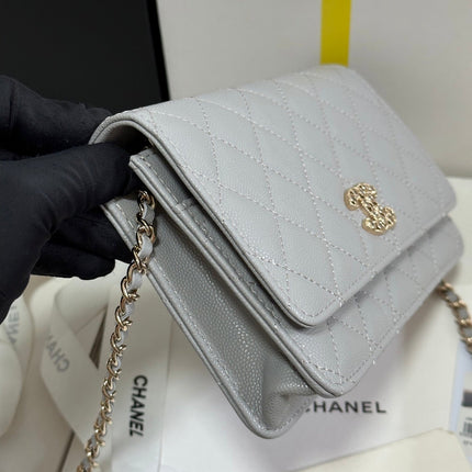STRASS WOC ENTRUPY BAG 19 IN SPANISH GREY CALFSKIN GOLD HARDWARE