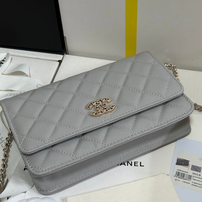 STRASS WOC ENTRUPY BAG 19 IN SPANISH GREY CALFSKIN GOLD HARDWARE