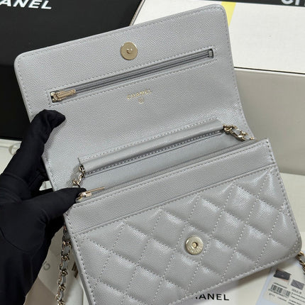 STRASS WOC ENTRUPY BAG 19 IN SPANISH GREY CALFSKIN GOLD HARDWARE