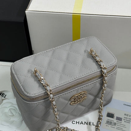 VANITY CASE 17 CRYSTAL STUDDED LOGO IN GREY CALFSKIN GOLD HARDWARE
